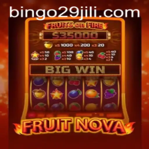 Exploring the Exciting World of FruitNova - The Ultimate Bingo Experience