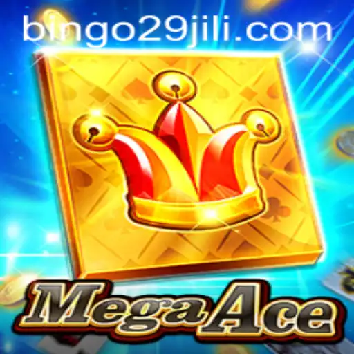 MegaAce: A Comprehensive Overview